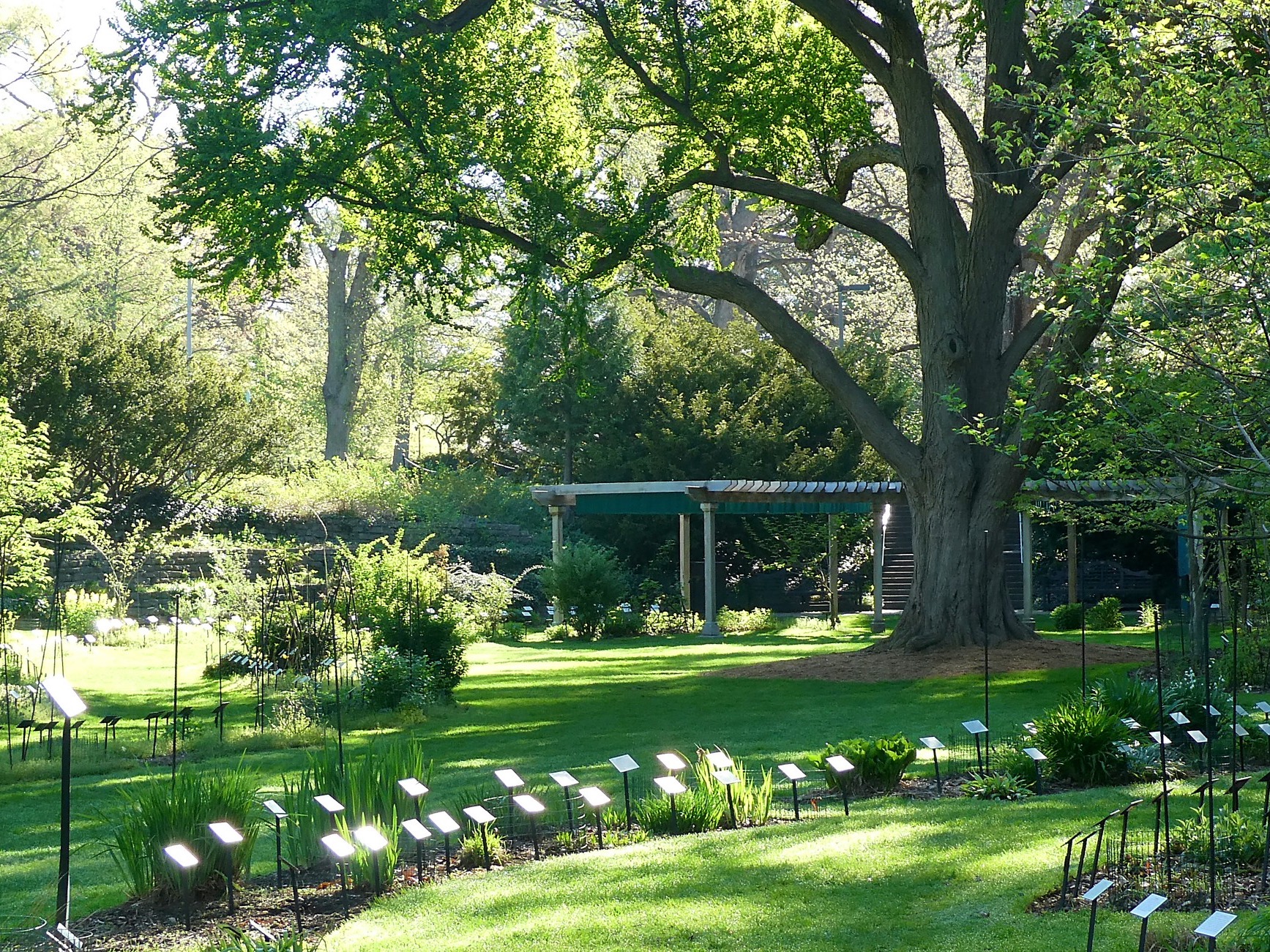 Garden Edition: Deep-Rooted with Beal Botanical Garden